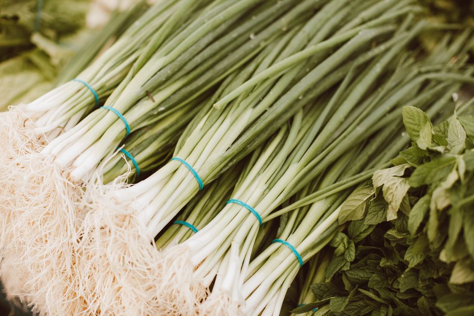Birchwood Farmers Market Returns with New Vendors and Live Music